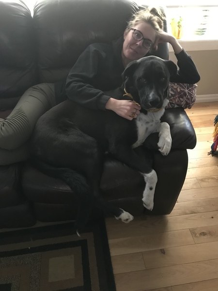 Entry image for Bubba. Clicking this image will show a larger photo