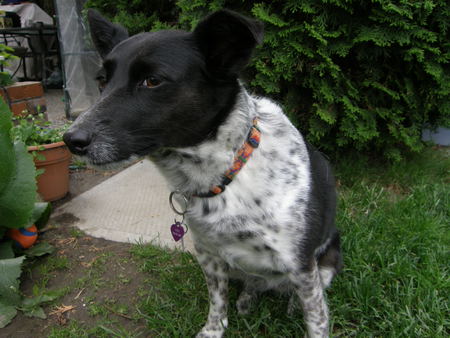 Entry image for Teki. Clicking this image will show a larger photo