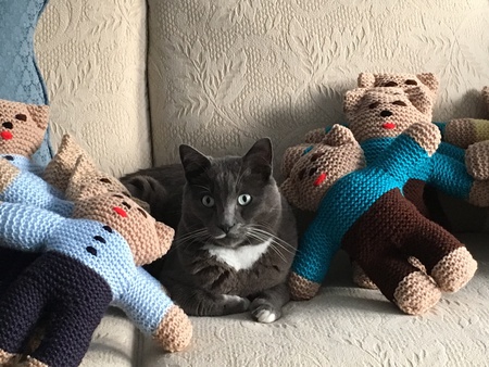 Entry image for Simon (a.k.a. Bubba). Clicking this image will show a larger photo