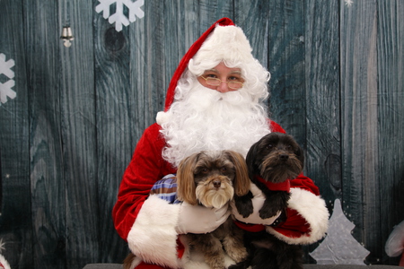 Entry image for Marco&Rolo. Clicking this image will show a larger photo