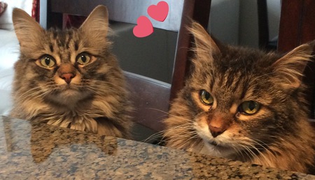 Entry image for Heidi & Masioka. Clicking this image will show a larger photo