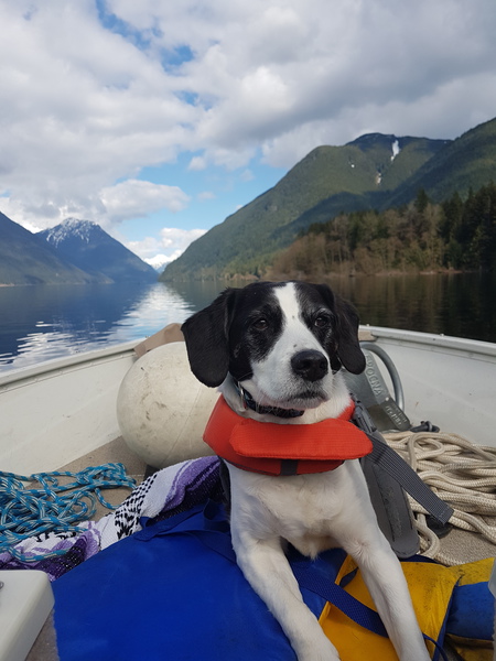 Entry image for Bentley . Clicking this image will show a larger photo