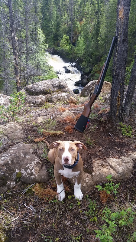 Entry image for Red. Clicking this image will show a larger photo