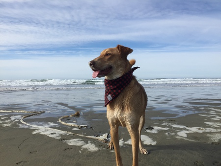 Entry image for Esker. Clicking this image will show a larger photo