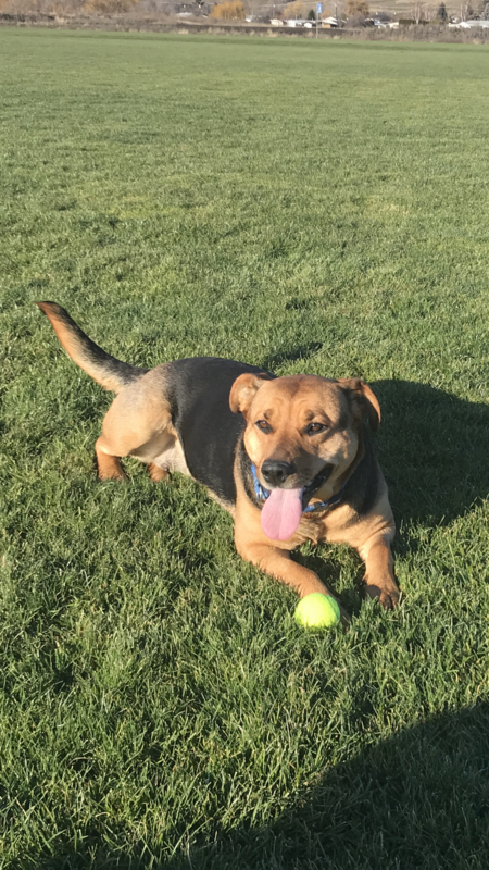 Entry image for Teaka. Clicking this image will show a larger photo