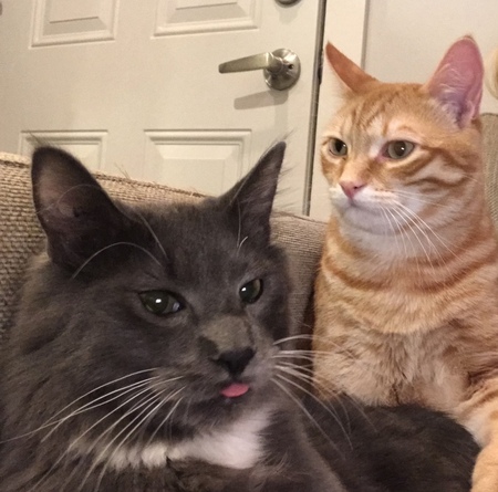 Entry image for Tony & Hamish. Clicking this image will show a larger photo