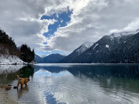 Entry image for Reese . Clicking this image will show a larger photo