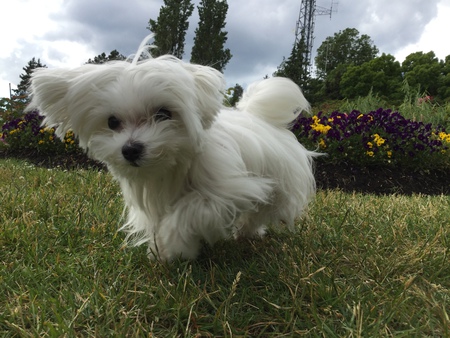 Entry image for Halle Berry. Clicking this image will show a larger photo