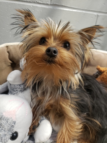 Entry image for Walter . Clicking this image will show a larger photo