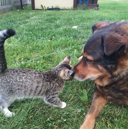 Entry image for Rylee. Clicking this image will show a larger photo