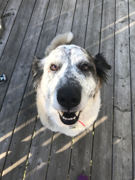 Entry image for Emmalee. Clicking this image will show a larger photo