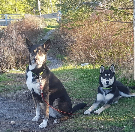 Entry image for Tehkahche and Luna. Clicking this image will show a larger photo