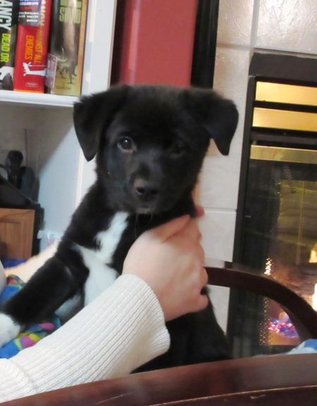 Entry image for Jake. Clicking this image will show a larger photo