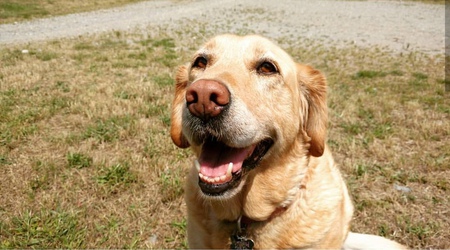 Entry image for Zoe. Clicking this image will show a larger photo