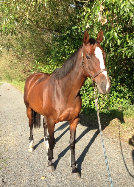 Entry image for Maya. Clicking this image will show a larger photo