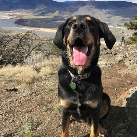 Entry image for Porter. Clicking this image will show a larger photo