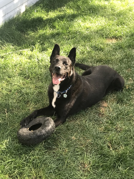 Entry image for Marty. Clicking this image will show a larger photo