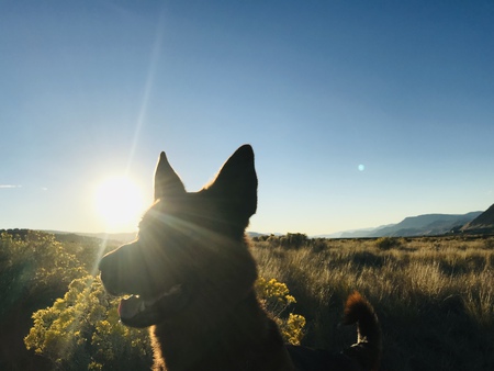 Entry image for Atlas. Clicking this image will show a larger photo