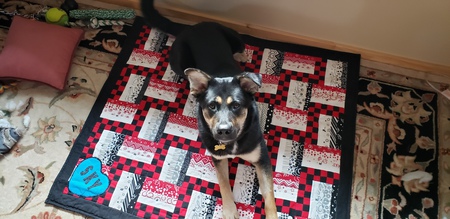 Entry image for Sky. Clicking this image will show a larger photo