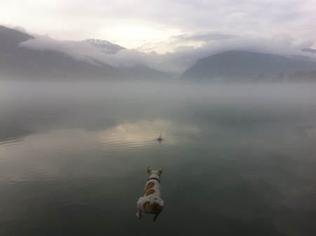 Entry image for Jack. Clicking this image will show a larger photo