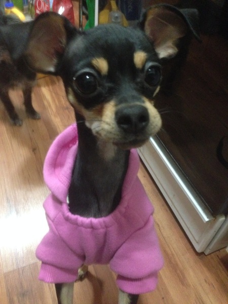 Entry image for Vegas . Clicking this image will show a larger photo