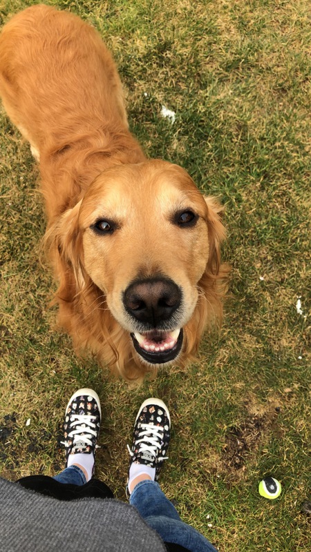 Entry image for Tucker. Clicking this image will show a larger photo