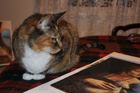 Entry image for Vigée. Clicking this image will show a larger photo