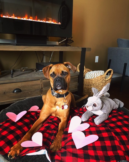 Entry image for Remington. Clicking this image will show a larger photo