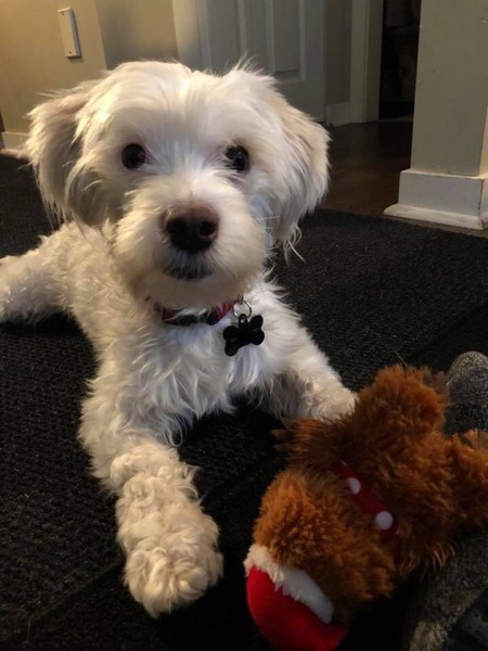 Entry image for Sir Edward Tedworth. Clicking this image will show a larger photo