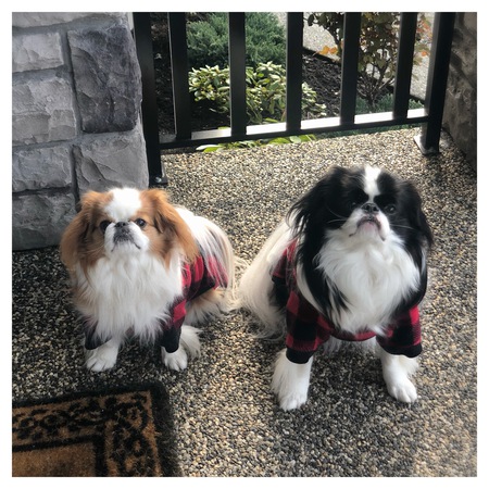 Entry image for Leia and Luke. Clicking this image will show a larger photo