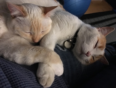 Entry image for Kitty & Luke. Clicking this image will show a larger photo