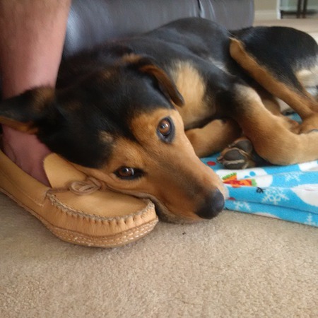 Entry image for Lilly. Clicking this image will show a larger photo