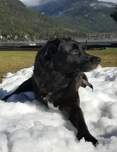 Entry image for Nita. Clicking this image will show a larger photo