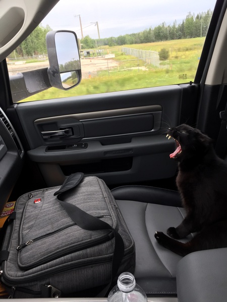 Entry image for Hubert. Clicking this image will show a larger photo