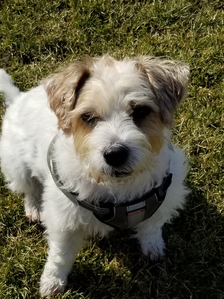 Entry image for Jack. Clicking this image will show a larger photo