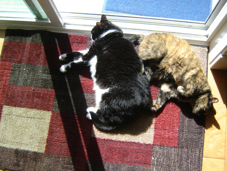 Entry image for Lovey and Pooper. Clicking this image will show a larger photo