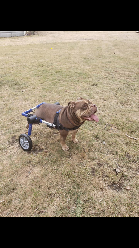 Entry image for Tiny . Clicking this image will show a larger photo