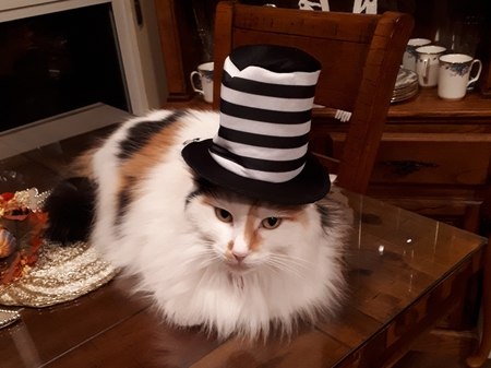 Entry image for Blossom. Clicking this image will show a larger photo