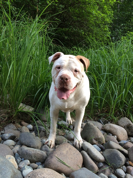 Entry image for JJ . Clicking this image will show a larger photo