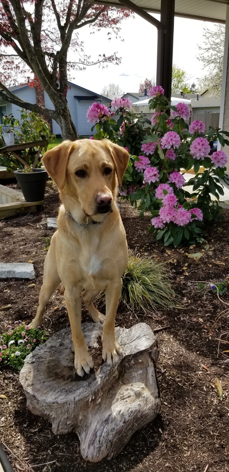 Entry image for Farsley. Clicking this image will show a larger photo