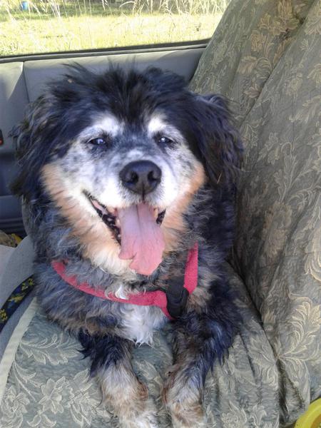 Entry image for Heri. Clicking this image will show a larger photo