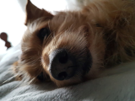 Entry image for Eddie. Clicking this image will show a larger photo