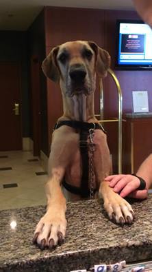 Entry image for Magna. Clicking this image will show a larger photo