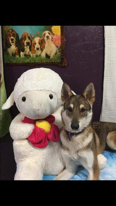 Entry image for Jersey. Clicking this image will show a larger photo