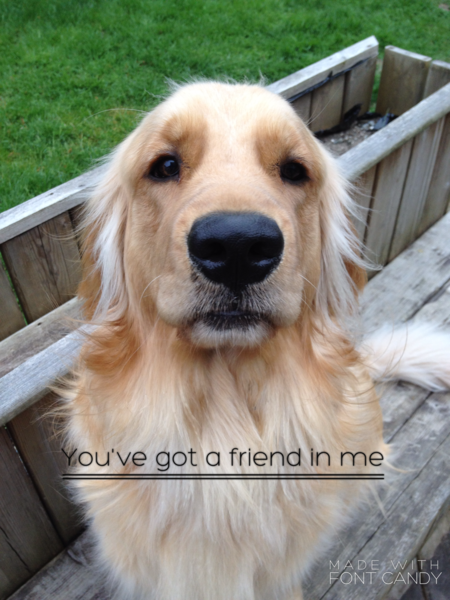 Entry image for Charlie . Clicking this image will show a larger photo