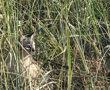 Entry image for Misha. Clicking this image will show a larger photo