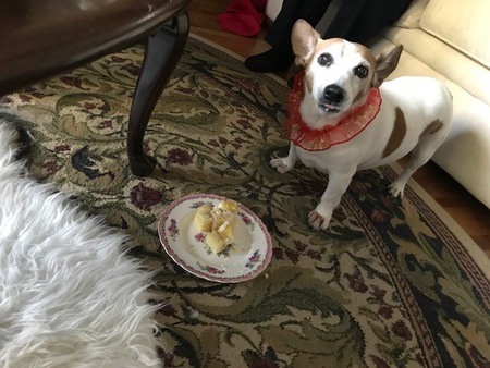 Entry image for Jackie. Clicking this image will show a larger photo