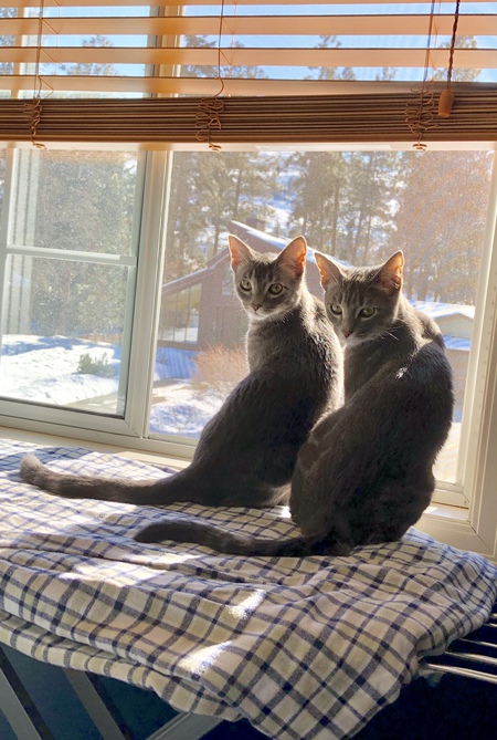 Entry image for Joey and Chandler. Clicking this image will show a larger photo