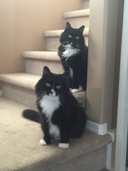 Entry image for Apple & Nyssa. Clicking this image will show a larger photo