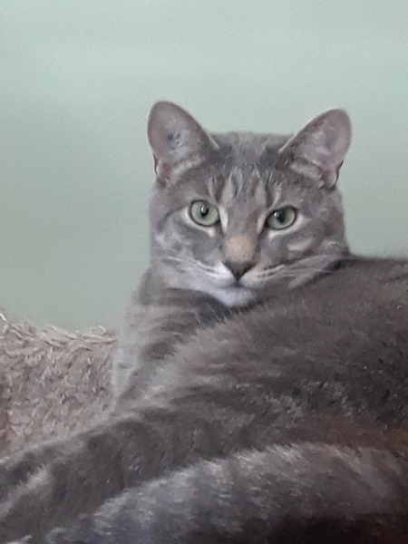 Entry image for Ayano. Clicking this image will show a larger photo